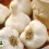 (2) GARLIC White Casablanca. Fast maturing variety. 1