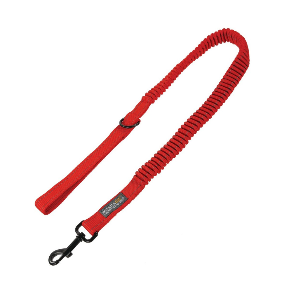 (One Size, Red) Regatta Dog Lead