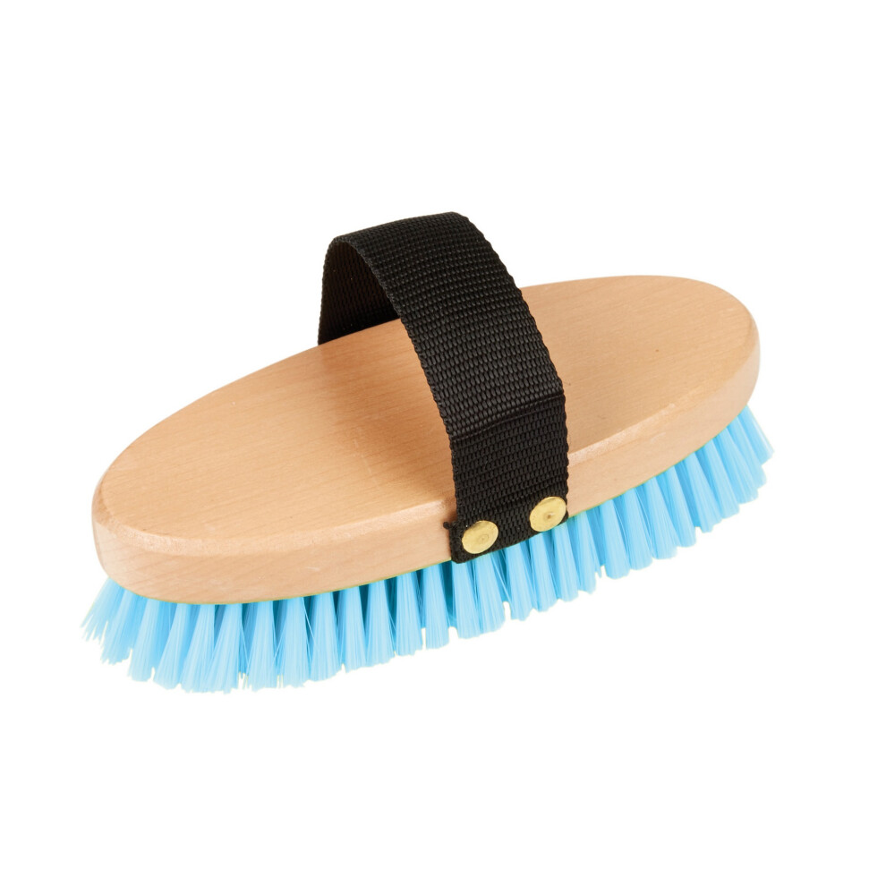 (One Size, Aqua) Roma Brights Body Brush