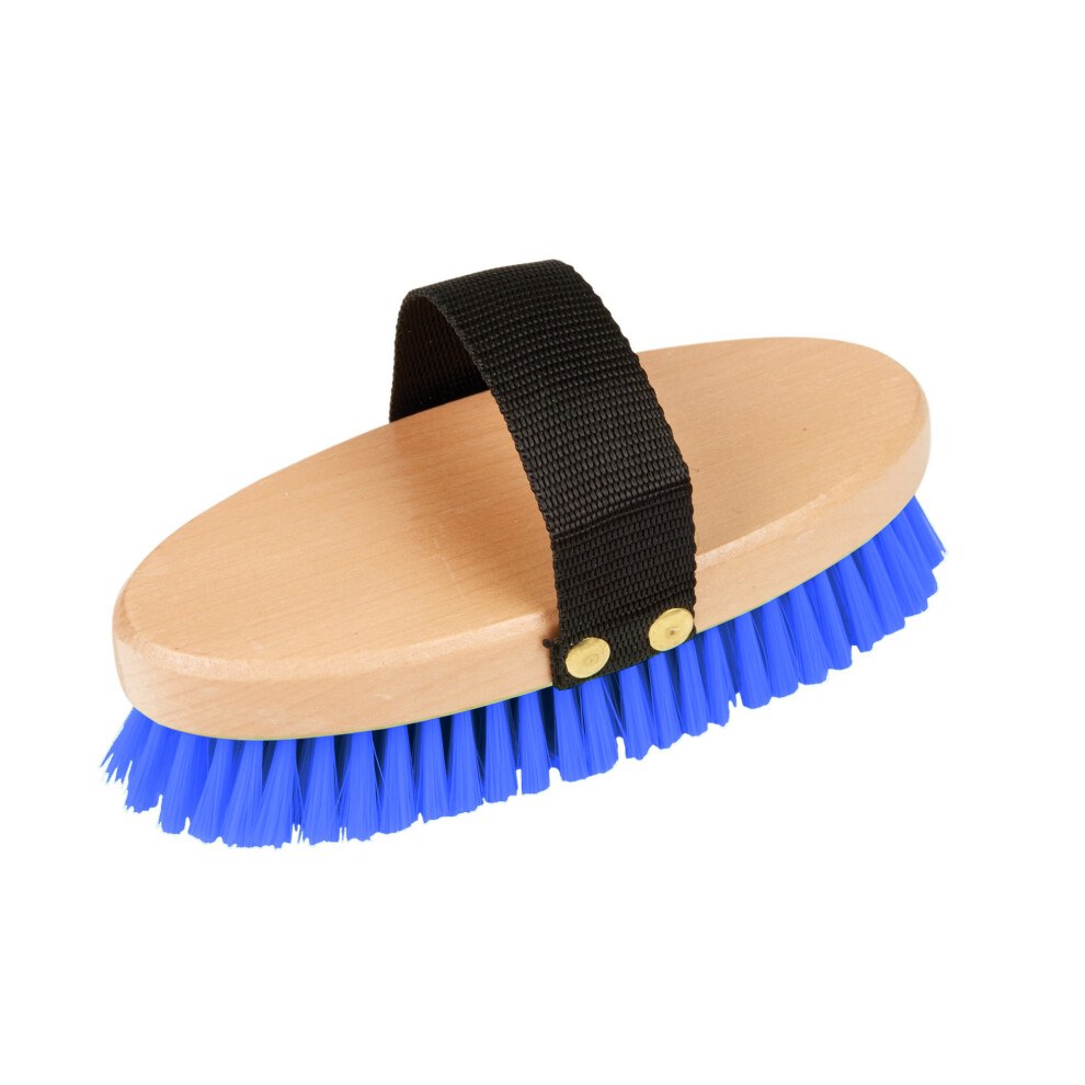 (One Size, Royal Blue) Roma Brights Body Brush