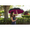 (Automatic, Red) Wonderdry Umbrella, The upside down umbrella 5