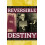 Reversible Destiny 1