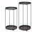 (Black) 2 Tier Metal Plant Stand Pack 2 Removable Tray Top 3