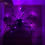 Light Up Giant Spider-125cm 3