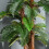 Outsunny Outsunny Artificial Palm Plant Fake Tree for Home Office, 150cm 6