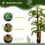 Outsunny Outsunny Artificial Palm Plant Fake Tree for Home Office, 150cm 3
