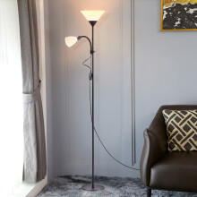 Modern 2 Head Standing Floor Lamp