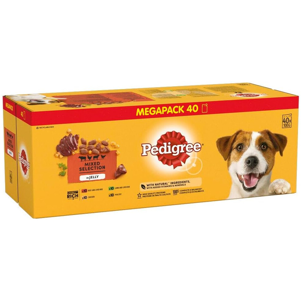 Pedigree Mixed Selection in Jelly 40 Pouches, Adult Wet Dog Food, Megapack , 100 g (Pack of 40)