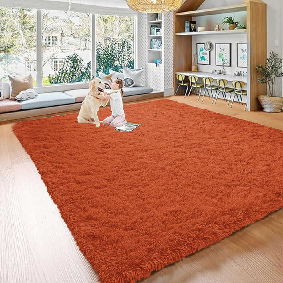 (160cm x 230cm (5ft 4" x 7ft 8"), Orange) Extra Large Rug Soft Shaggy Living Room Carpet Mat