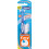 Wisdom Wisdom Easy Floss Daily 25's Flosser Colours Vary 1