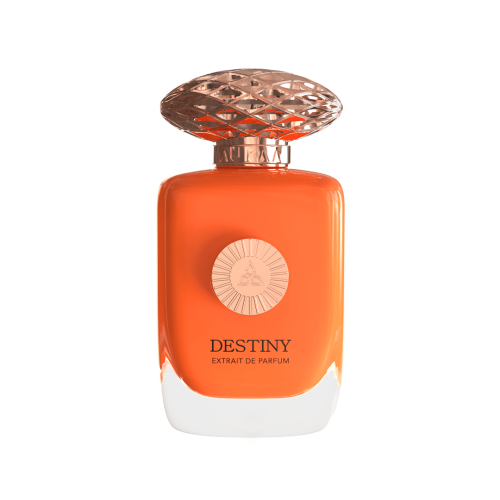 Extract de parfum, Auraa Desire, Destiny, pentru bărbați, 100 ml 2