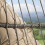 Garden Store Direct Garden Store Direct Single Folding Hanging Cocoon Swing Seat 4