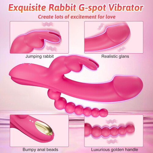 Vibrator Thrusting Dildo for Women - G Spot Clitoral Stimulator 2