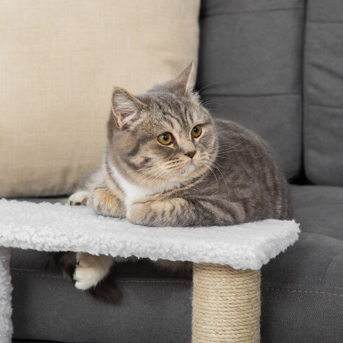PawHut PawHut Pet Stair with 3-step Climb Ladder, Scratching Posts, White 2