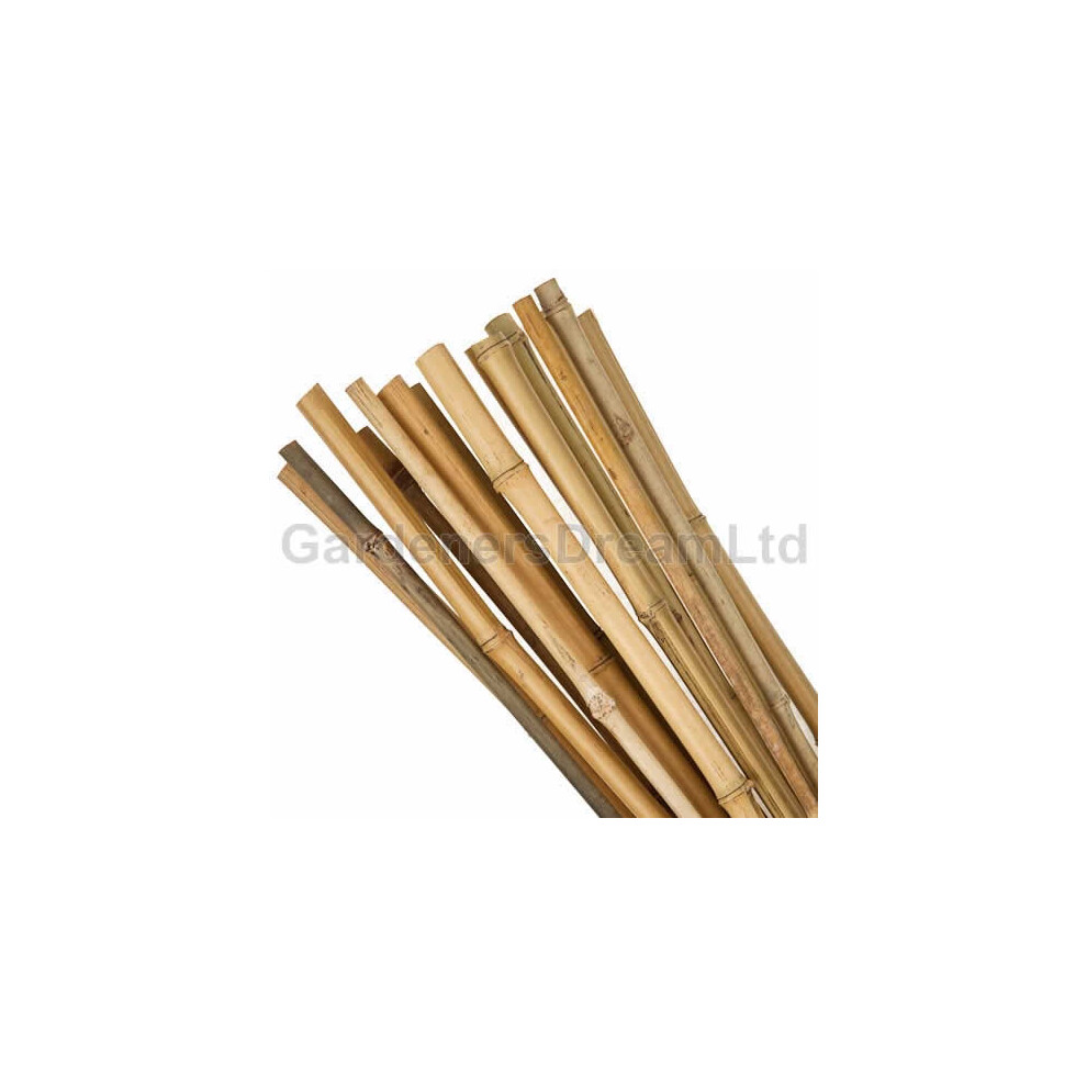 100 X 2FT BAMBOO GARDEN CANES STRONG QUALITY PLANT AND VEGETABLE SUPPORT