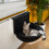 PETLICITY Deluxe Plush Cat Radiator Bed - Black 4