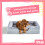 (Medium) Snug Orthopaedic Pet Bed Support for Medium Large Extra Large Dogs Ergonomic 1