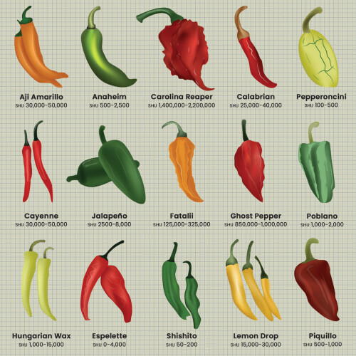 Chillies Greetings Card - 150x150 Blank 1