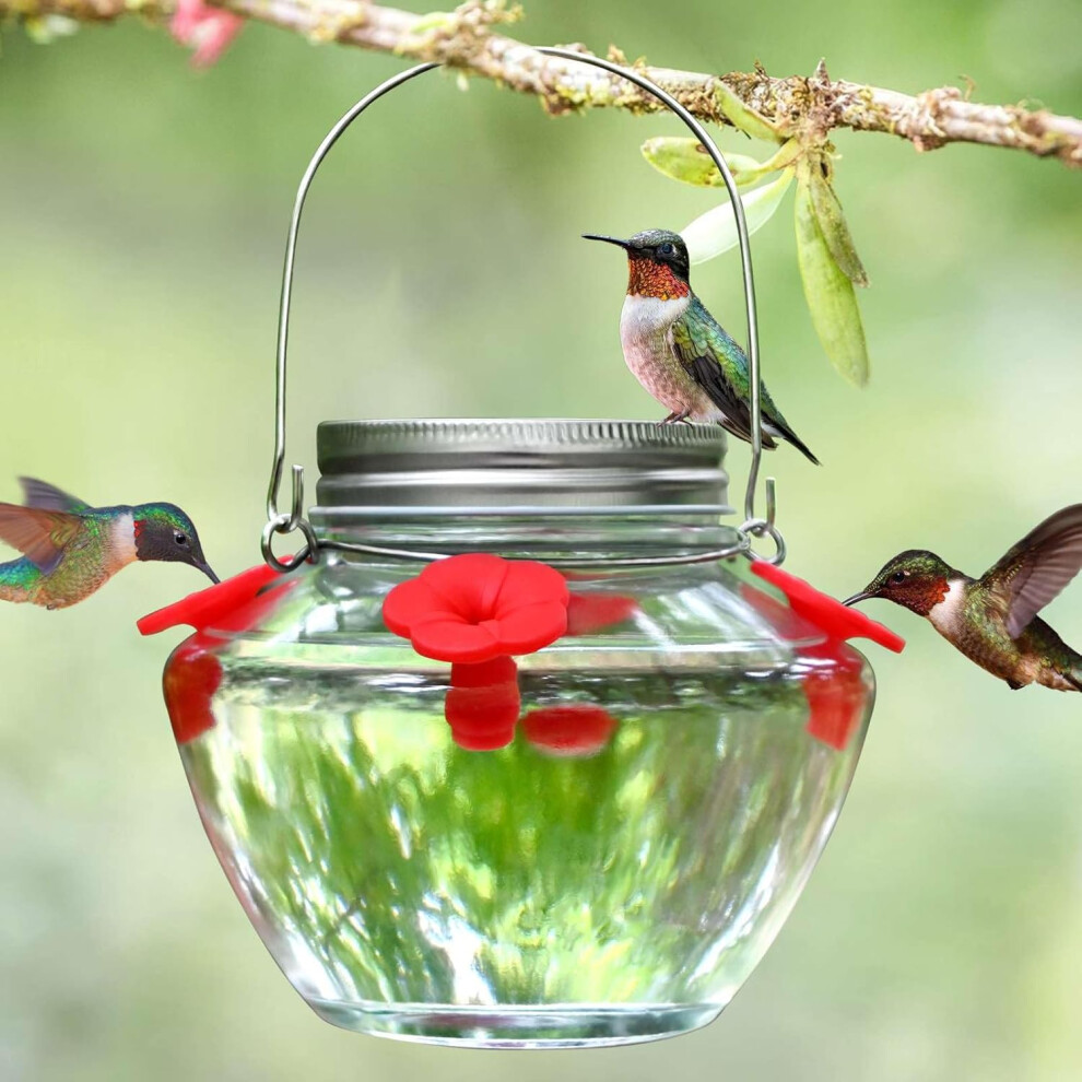 Nuonove Mason Jar Hummingbird Feeder For Outdoors Hanging, Glass Humming Bird Feeders With 4 Feeding Ports, Top Fill Leak-Proof Design Easy To Use And Clean,
