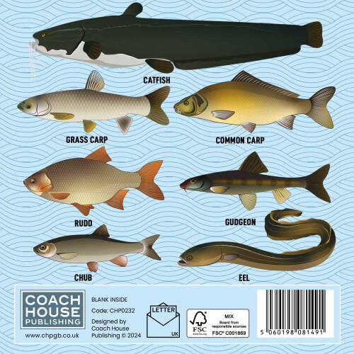 Coarse Fish Greetings Card - 150x150 Blank 2