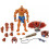 Mattel Masters of the Universe Masterverse Oversized Beast Man Figure (BOXED) 1