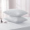 (Silver, Pillowcases Pair) 4PC Dyed Duvet Cover Bedding Set with Fitted Sheet 1