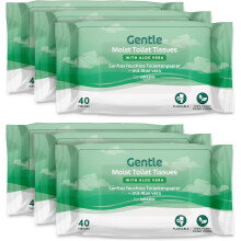 Gentle Moist Toilet Tissues with Aloe Vera, Flushable, 240 Count (6 Packs of 40 sheets) (Previously Presto!)