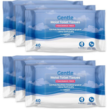 Gentle Moist Toilet Tissues, Unscented, Fine to Flush, 240 Count (6 Packs of 40) (Previously Presto!)