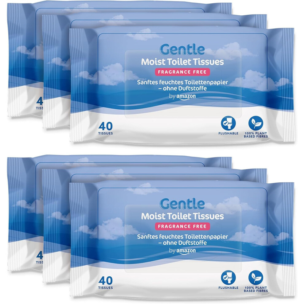 Gentle Moist Toilet Tissues, Unscented, Fine to Flush, 240 Count (6 Packs of 40) (Previously Presto!)