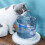 Living And Home Transparent Automatic Pet Water Dispenser Cat Fountain 2