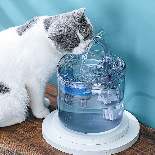 Living And Home Transparent Automatic Pet Water Dispenser Cat Fountain 1