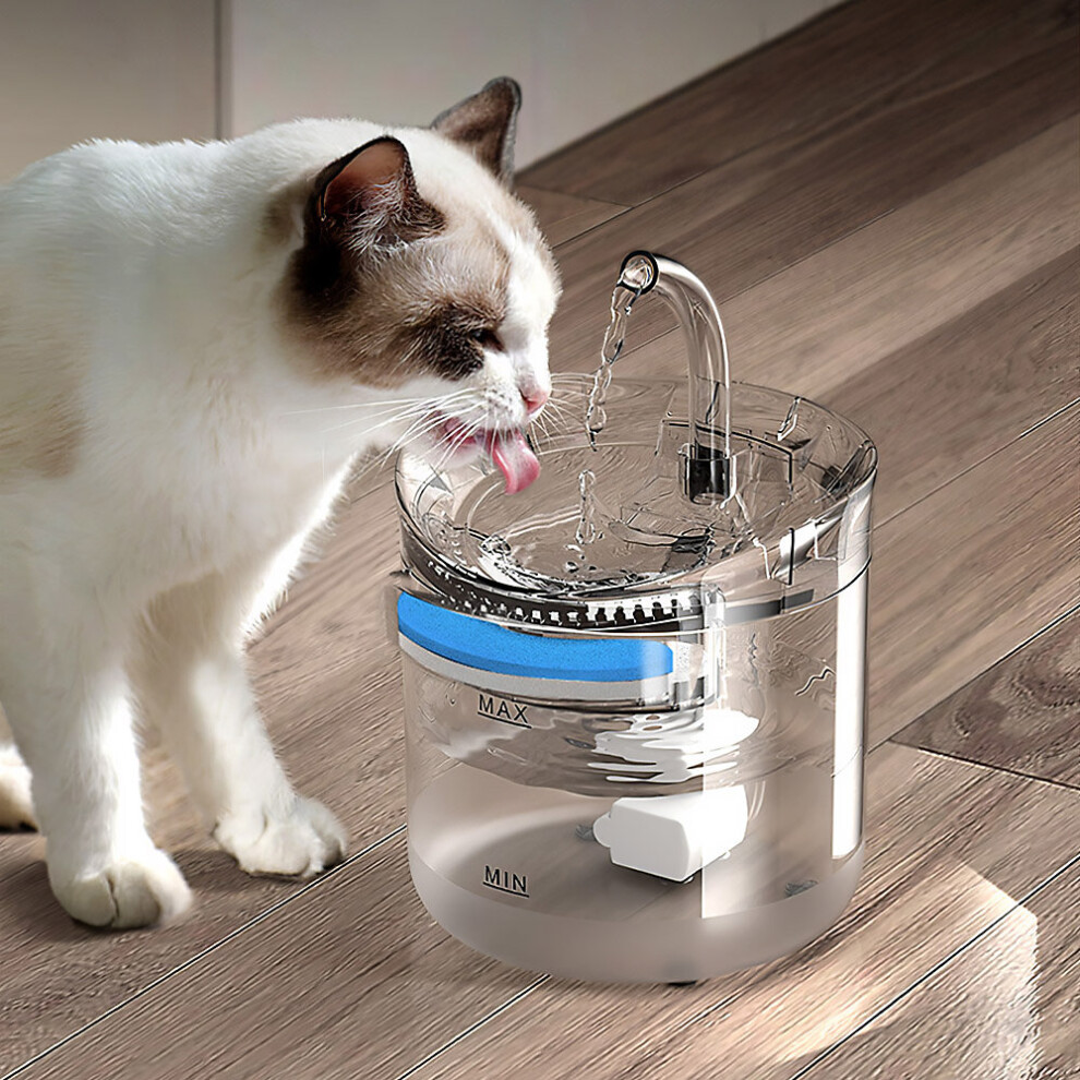 Transparent Automatic Pet Water Dispenser Cat Fountain