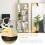 Homcom HOMCOM Multipurpose 8-Grid Bookshelf Decorative Shelf, Bathroom, Kitchen Oak 8