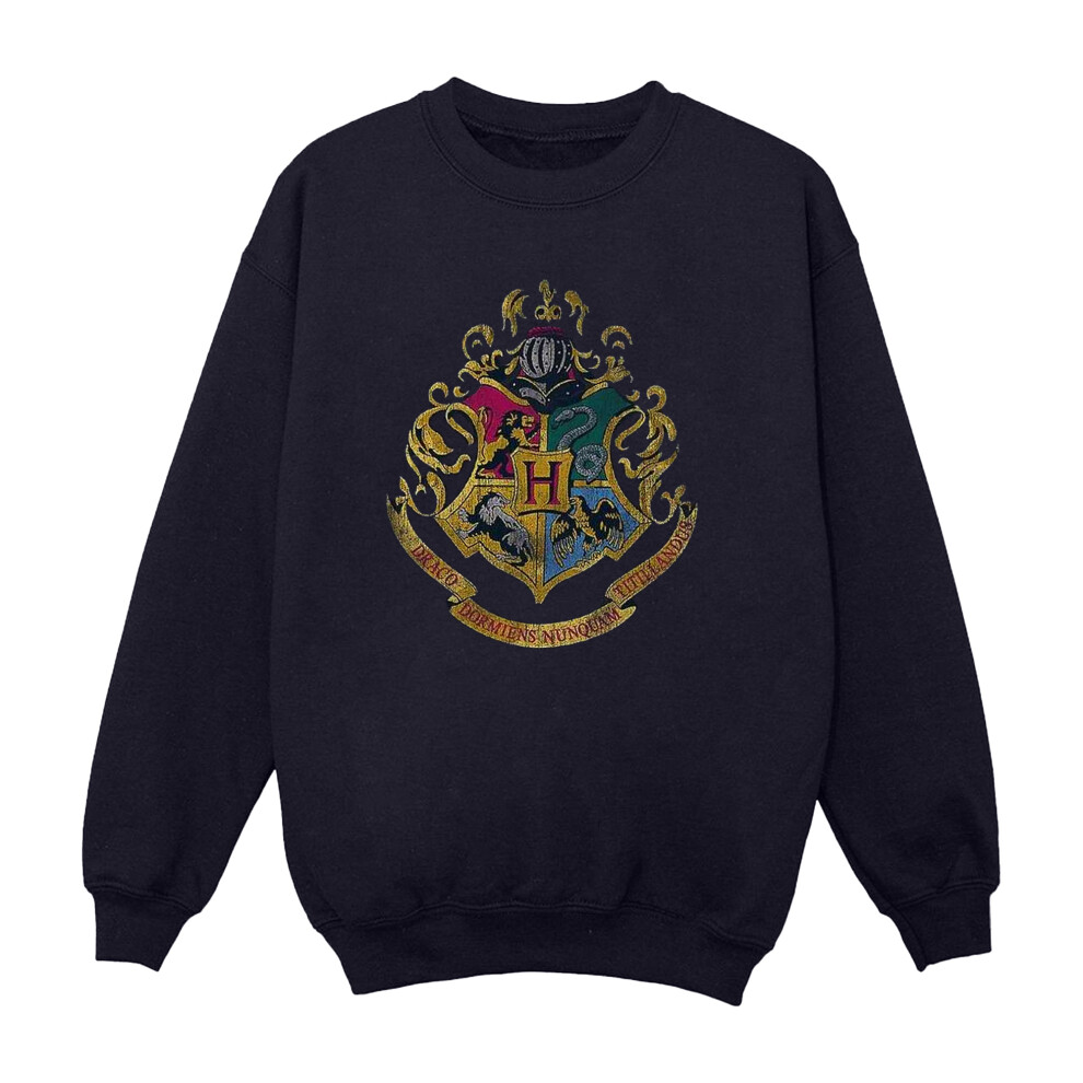 (5-6 Years, Navy Blue) Harry Potter Girls Hogwarts Houses Cotton Sweatshirt