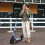 (Blue) Adult Kick Scooter with Double Shock Absorption 7