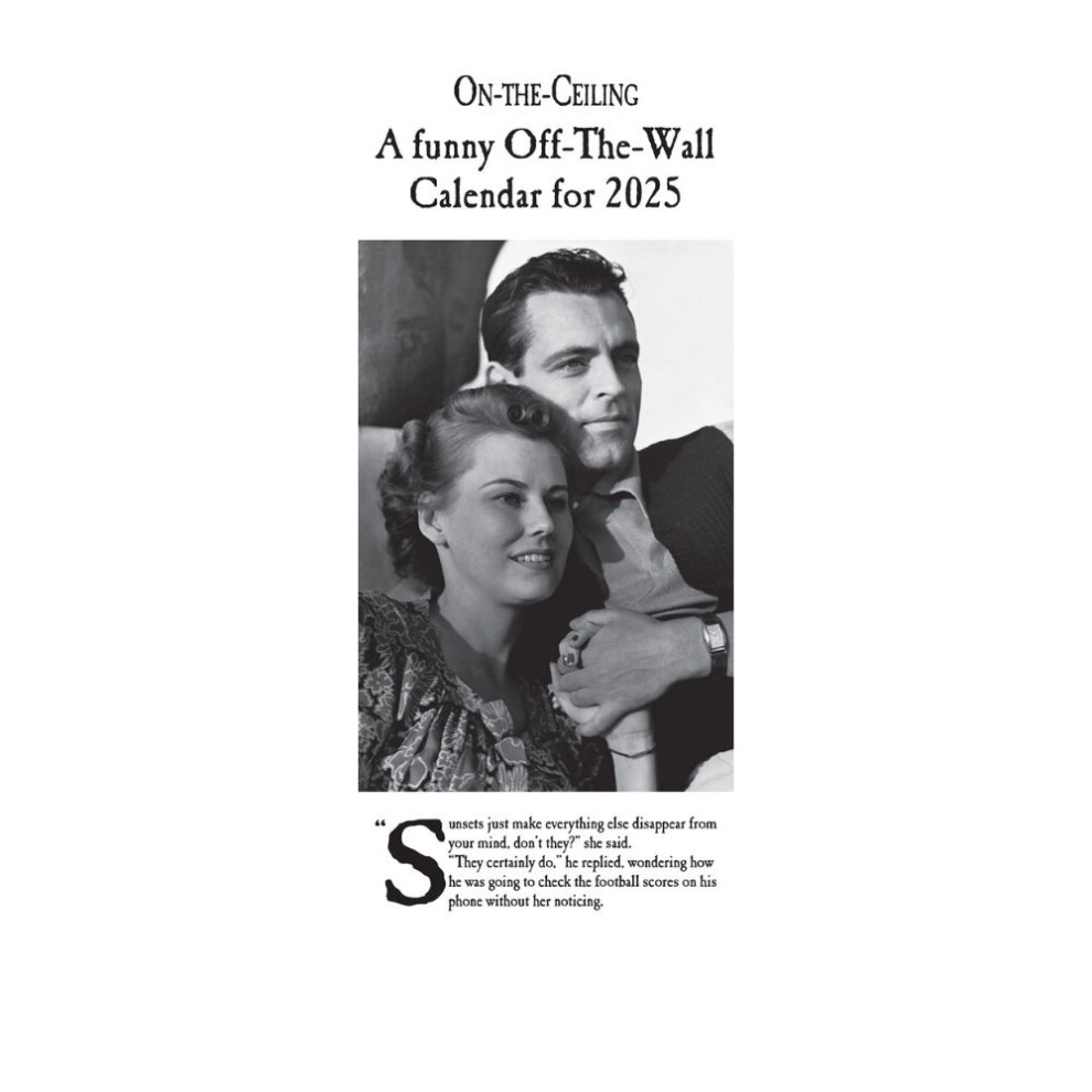 2025 Calendar On The Ceiling Month View Slim Calendar Official Product