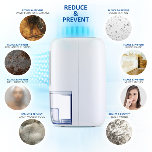 NETTA NETTA 800ml Mini Dehumidifier for Damp, Mould & Moisture 2