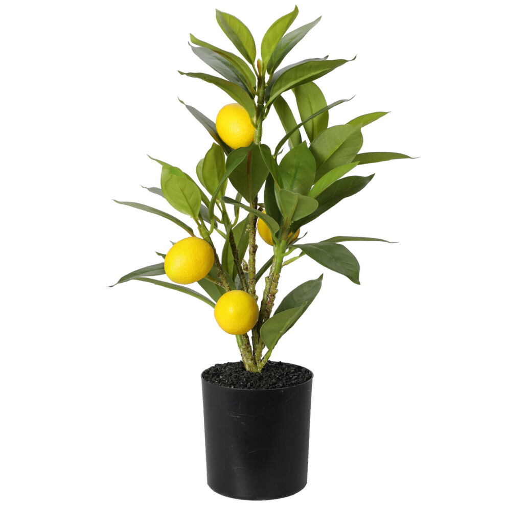 Urbn Living 9Cm Artificial Citrus Lemon Citron Fruit Tree In Pot