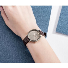 EMPORIO ARMANI AR11063 WOMEN WATCH BROWN STRAP SILVER DIAL SILVER CASE