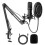 Yanmai Q10B USB Recording Microphone Kit 2