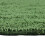 Homescapes (Bottle Green, Bath Mat - Half Round) Luxury Reversible Cotton Bath Mat 4