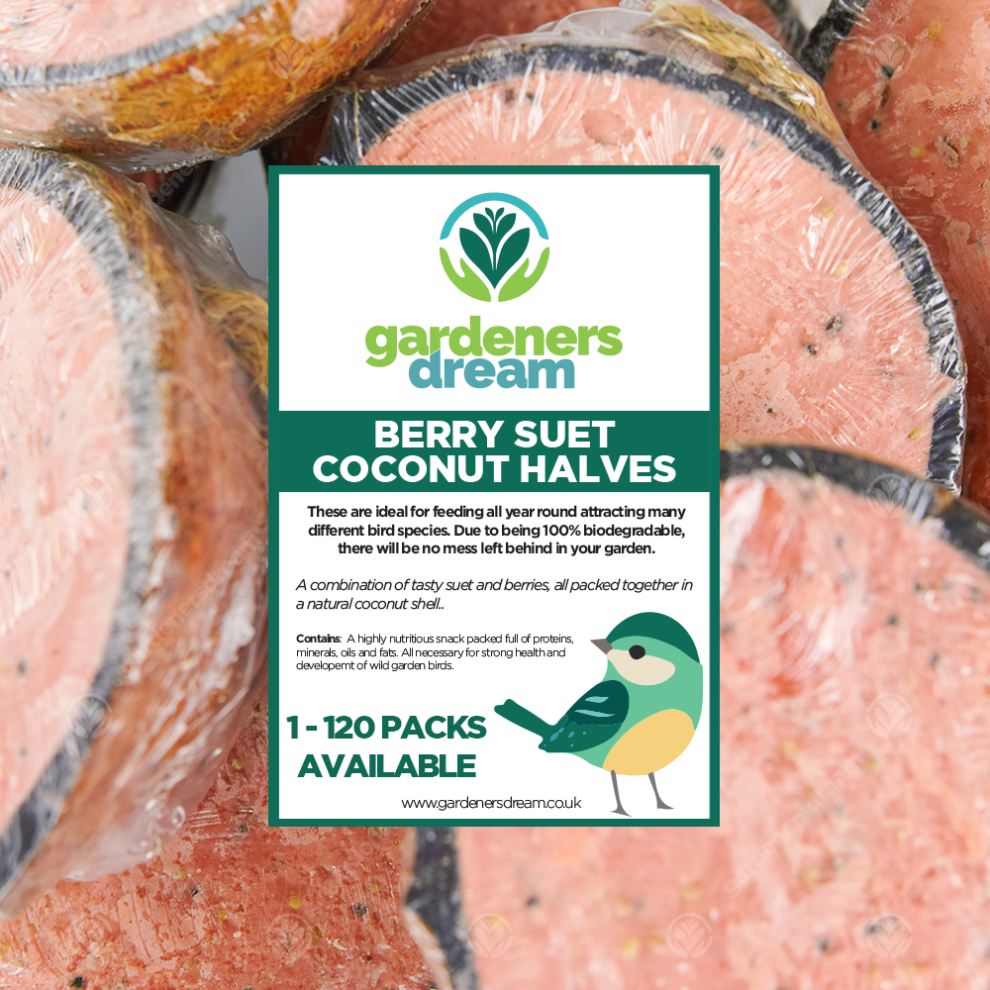 GardenersDream Berry Suet Filled Coconut Halves - Fresh Wild Garden Bird Food