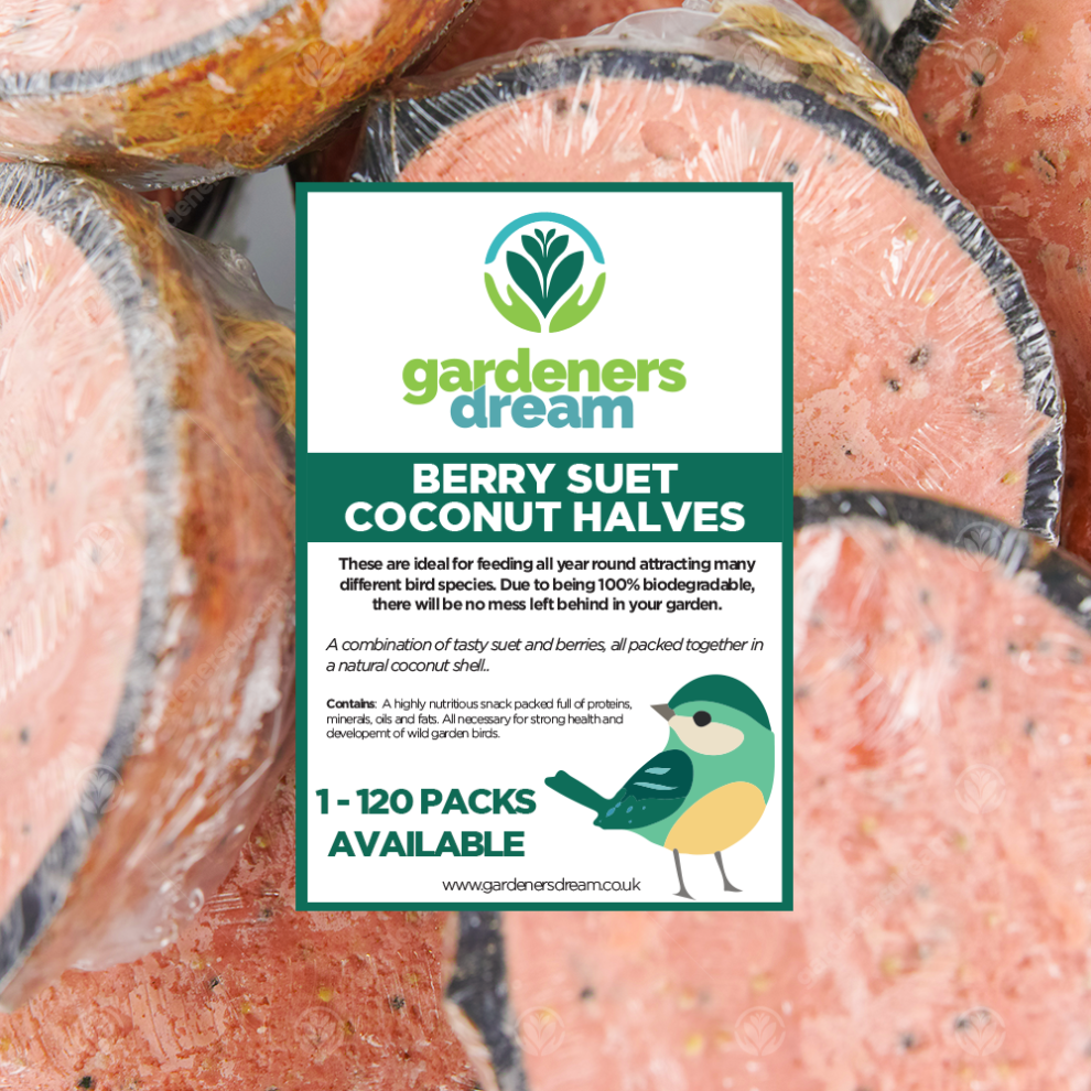 Gardeners Dream Gardenersdream Berry Suet Filled Coconut Halves - Fresh Wild Garden Bird Food