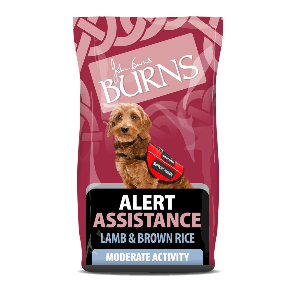 Burns Pet Nutrition Hypoallergenic Complete Dry Dog Food Adult and Senior Dog Alert Lamb and Brown Rice 6 kg