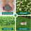 Gardeners Dream 100g Micro White Clover Grass Seed Eco-Friendly Drought Resistant Lawn Cover 7