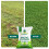 Gardeners Dream 100g Micro White Clover Grass Seed Eco-Friendly Drought Resistant Lawn Cover 6