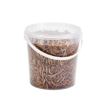 Pet Ting Premium Dried Mealworms 1 Liter Tub MW1LTR - Protein-Rich Bird Snack for Garden Birds