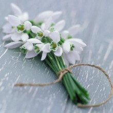 Sympathy Card - (GBCC1599) - 'Bunch of Snowdrops' by James Guilliam