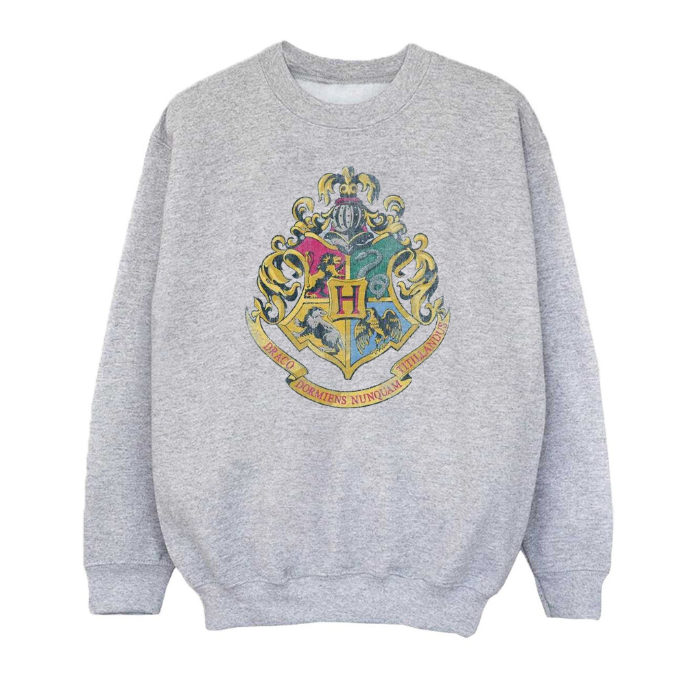 Hogwarts Houses Cotton Sweatshirt