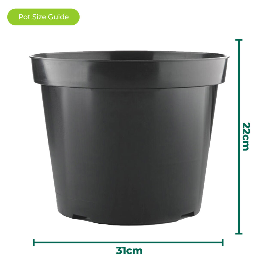 Gardeners Dream 5 X 12L Round Black Plant Pots For Growing Garden Plants & Herb Outdoor Growers